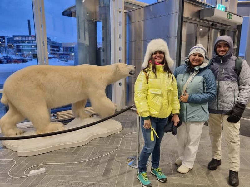 Tromsø: Guided Polar Bear Walk incl. Polaria & Polar Museum - Tromsø polar bears, explained through two must-see stops