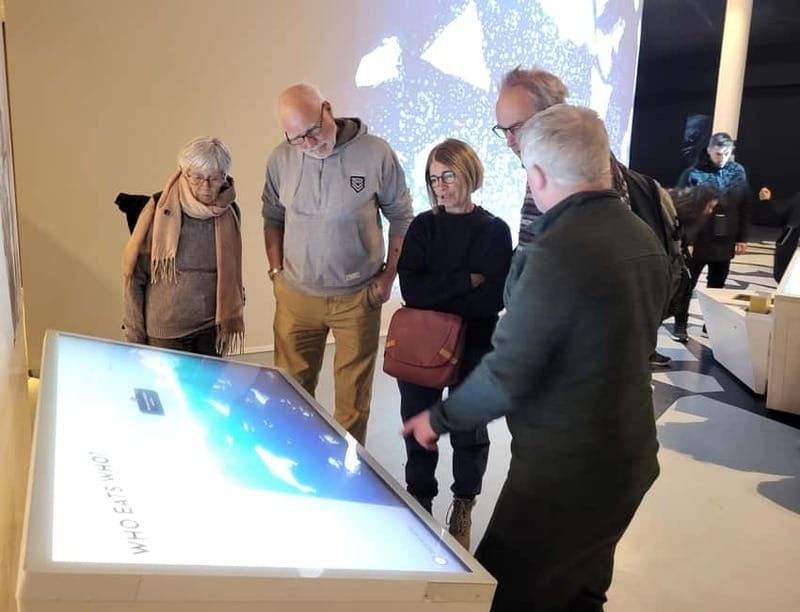 Tromsø: Guided Polar Bear Walk incl. Polaria & Polar Museum - The walking section: quayside views and the old-town feel
