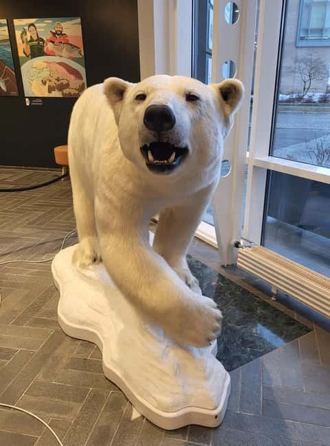 Tromsø: Guided Polar Bear Walk incl. Polaria & Polar Museum - What you’ll learn, beyond the animal theme