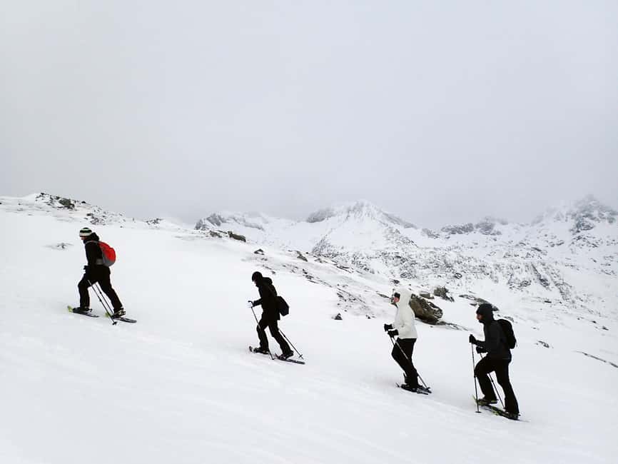 Tromsø: Guided snowshoe hill hike - The 5-Hour Plan, From Fjords Road Drive to Summit Pause