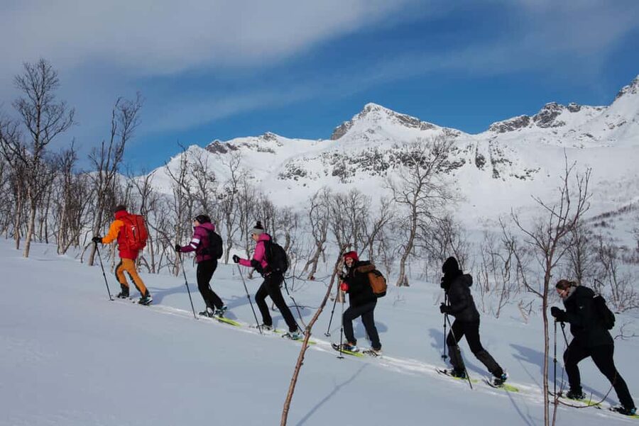 Tromsø: Guided snowshoe hill hike - Weather Reality: When Fog Wins, Still Plan to Enjoy the Day
