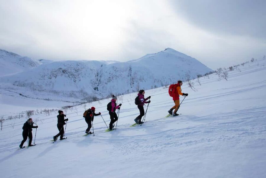 Tromsø: Guided snowshoe hill hike - Price and Value: Is $149 Worth It?
