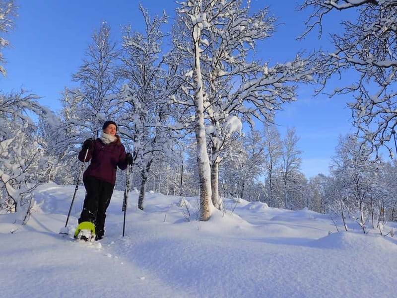 Tromsø: Guided snowshoe trip with a campfire - The Guided Spring Snowshoe Walk: Forest Time and Local Life Stories