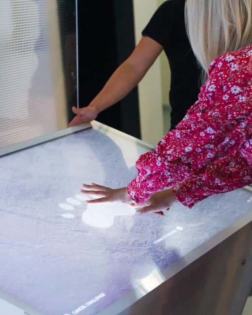 Tromsø: Guided Tour of Polaria - The Arctic Aquarium: rare species around Tromsø, up close