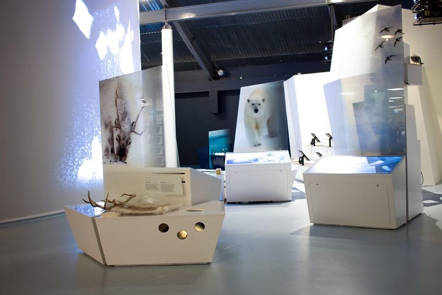 Tromsø: Guided Tour of Polaria - Who this tour suits best (and who may want to choose a different plan)