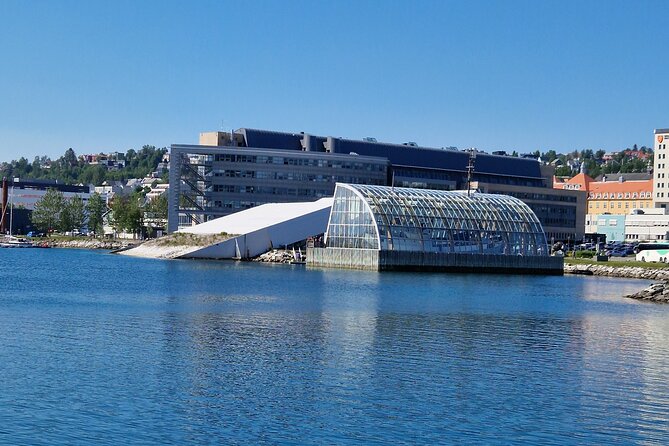 Tromsø Highlights & History Tour with E-Bike - Stop 3: Prestvannet Lake, 96 meters up and full of bird life