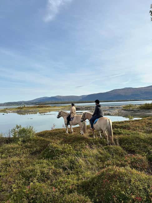 Tromsø: Horseback Riding Tour - Key things that make this tour worth it