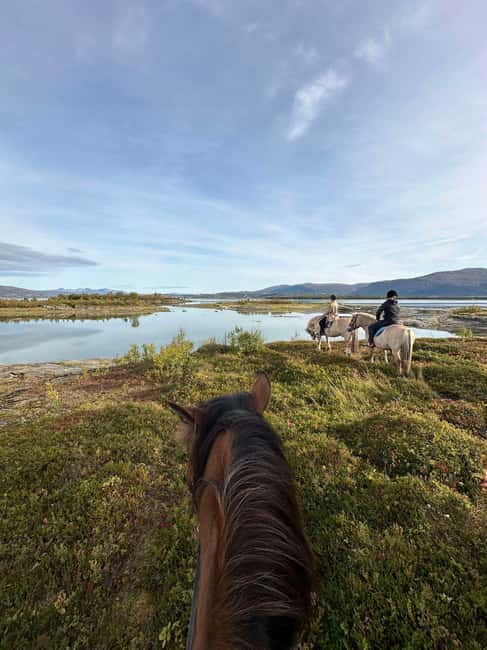 Tromsø: Horseback Riding Tour - Tromsø to Mari Sletta Farm: fast, simple arrival