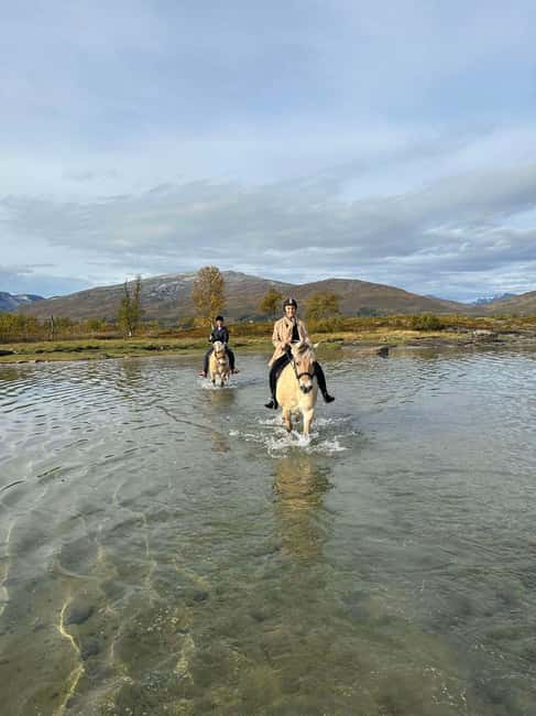 Tromsø: Horseback Riding Tour - World War 2 stories at the farm: local history in plain language
