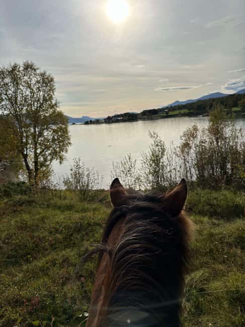 Tromsø: Horseback Riding Tour - Price and value: is $262 per person fair?