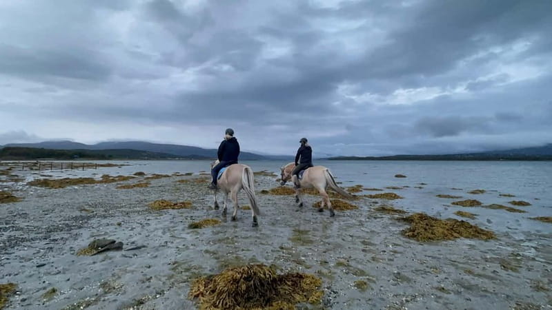 Tromsø: Horseback Riding Tour - Who this tour suits best (and who might skip it)