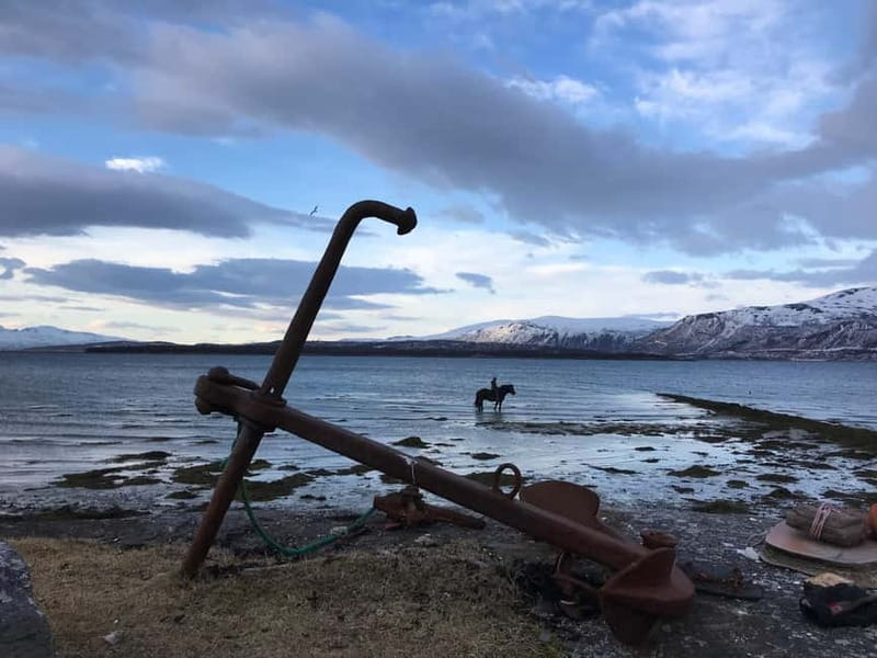 Tromsø: Horseback Riding Tour - Getting your horse and gear: helmets, briefing, and real farm time