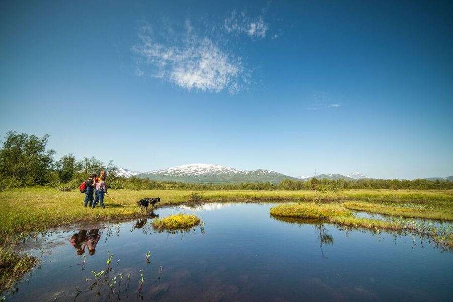 Tromsø: Husky Hike and Puppy Visit with Traditional Lunch - Cost and value: is $172 worth it for 4.5 hours?