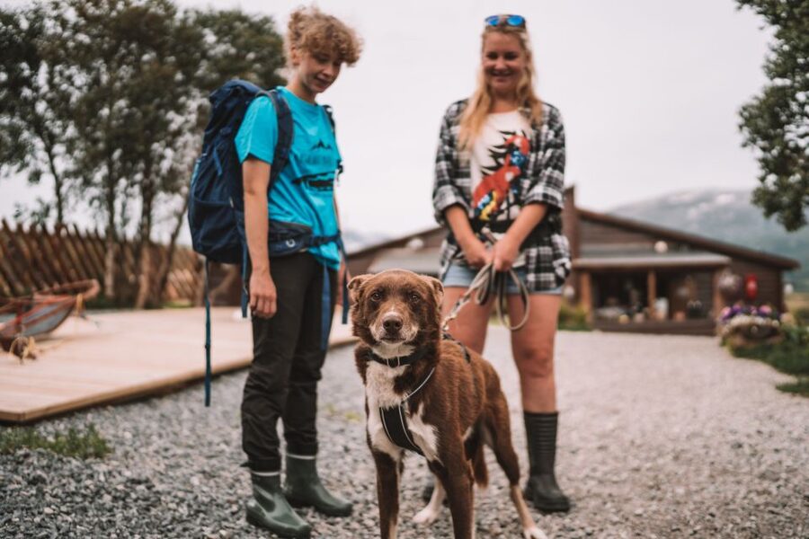 Tromsø: Husky Hike and Puppy Visit with Traditional Lunch - FAQ