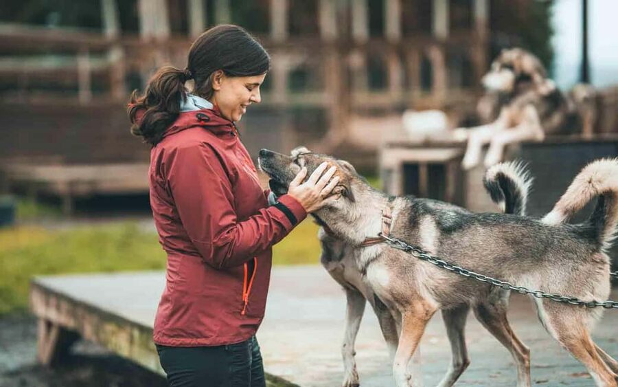 Tromsø: Husky Meet and Greet with Homemade Chocolate Cake - Cuddles, Play, and Getting Your Photos Without Feeling Hectic