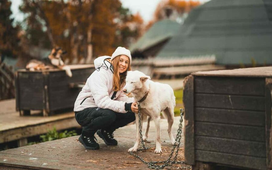 Tromsø: Husky Meet and Greet with Homemade Chocolate Cake - From Radisson Blu to the Dog Yard, and Why Timing Matters