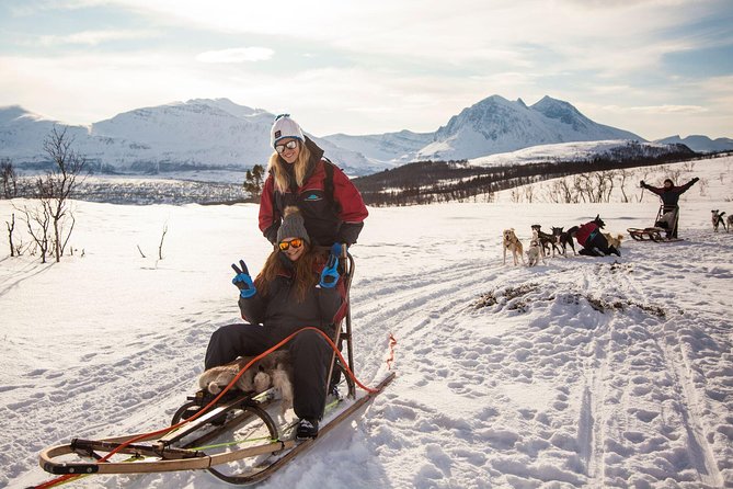 Tromso Husky Self-Drive Sledding with Cake and Drink in Lavvu - Getting There From Tromsø: Pickup Time and Travel Rhythm