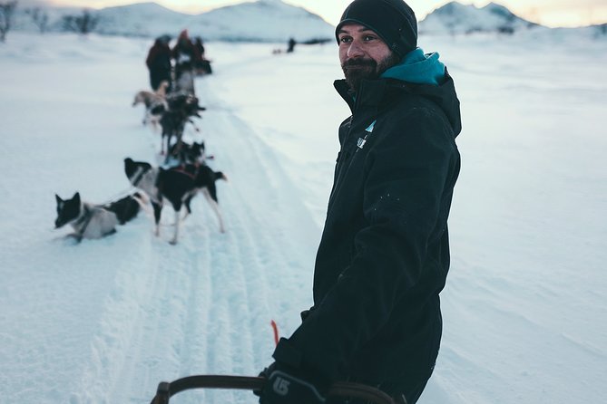 Tromso Husky Self-Drive Sledding with Cake and Drink in Lavvu - The Arctic Trail: Speed, Hills, Braking, and When to Expect Twilight