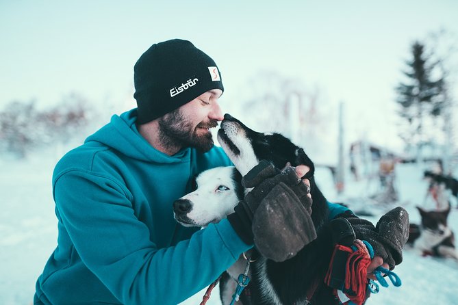 Tromso Husky Self-Drive Sledding with Cake and Drink in Lavvu - Who This Husky Sledding Trip Fits Best