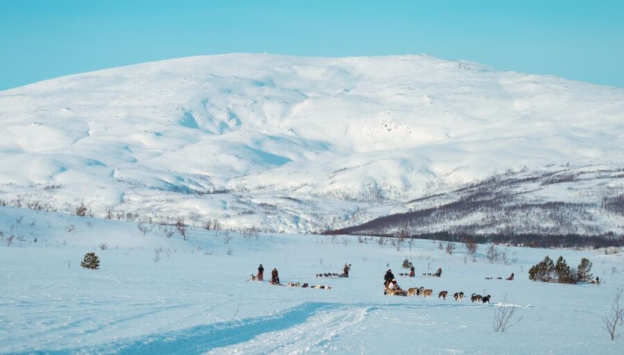 Tromsø: Husky Sled Self-Drive with Traditional Lunch - The mushing lesson: commands, balance, and teamwork