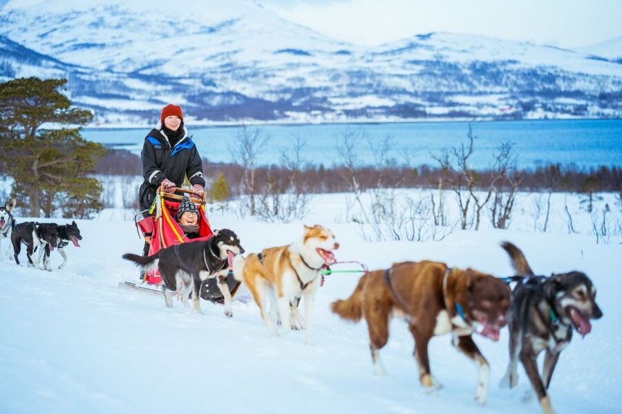 Tromsø: Husky Sled Self-Drive with Traditional Lunch - Who this Tromsø husky tour suits best, and who should skip it