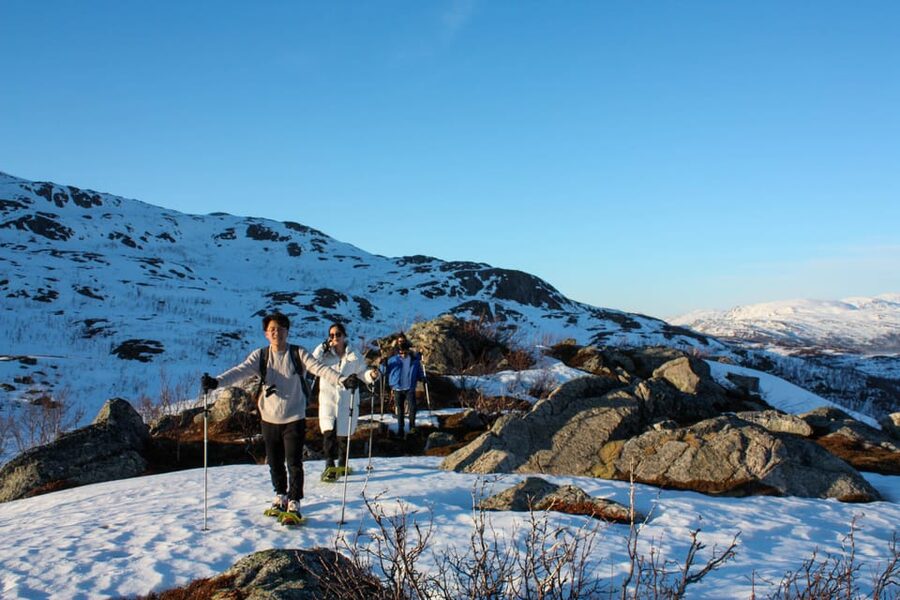 Tromsø: Ice Fishing and Snowshoe Hiking with a Local Guide - Drilling holes and setting lines: ice fishing the practical way