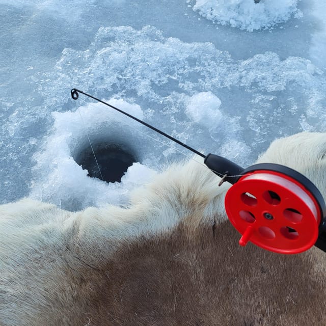 Tromsø: Ice Fishing and Snowshoe Hiking with a Local Guide - Meeting in Tromsø city centre, then the 40-minute drive out