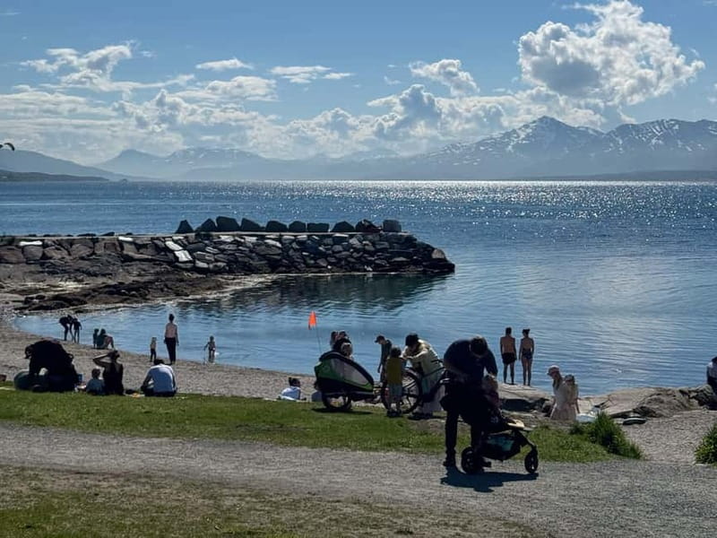 Tromsø: Island Tour with Tromsø Accessible Tours - Key moments that make this tour worth your time