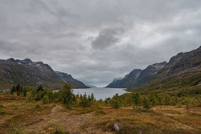 Tromsø: Kvaløya & Sommarøy Guided Fjord Tour with Lunch - Lunch, snacks, and coffee or tea: staying warm and sane