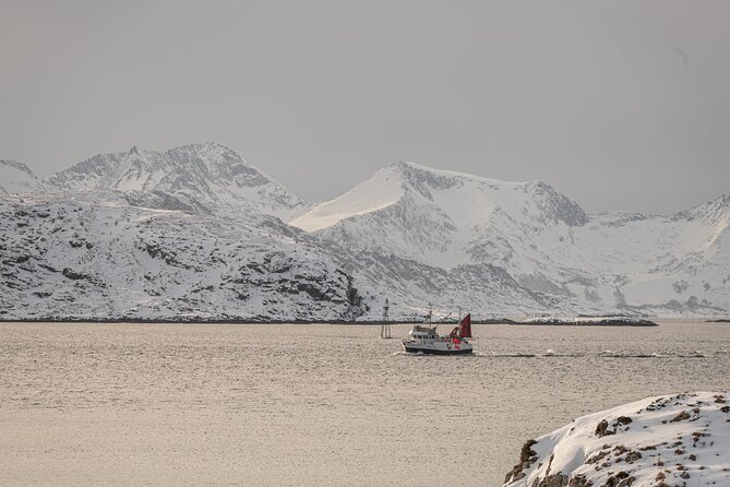 Tromsø: Kvaløya & Sommarøy Guided Fjord Tour with Lunch - Price and value: why $181.50 can be fair here