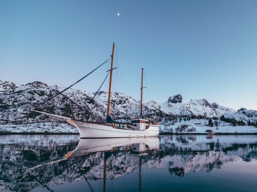Tromso: Luxury Northern Lights Cruise with Hot Tub & Dinner - Reindeer stew soup, cookies, and why the food feels part of the trip