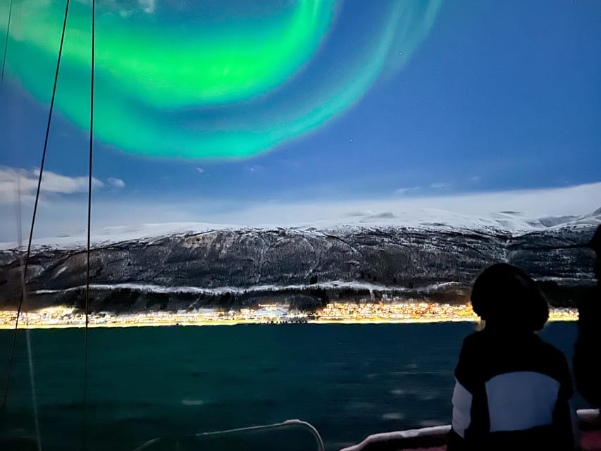 Tromso: Luxury Northern Lights Cruise with Hot Tub & Dinner - Who should book, and who should skip this hot tub aurora cruise