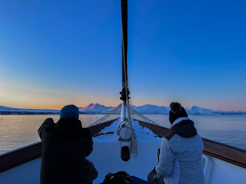 Tromsø: Luxury Polar Fjord Cruise w/ Hot Tub & Polar Plunge - Key Highlights You Should Know Before You Go