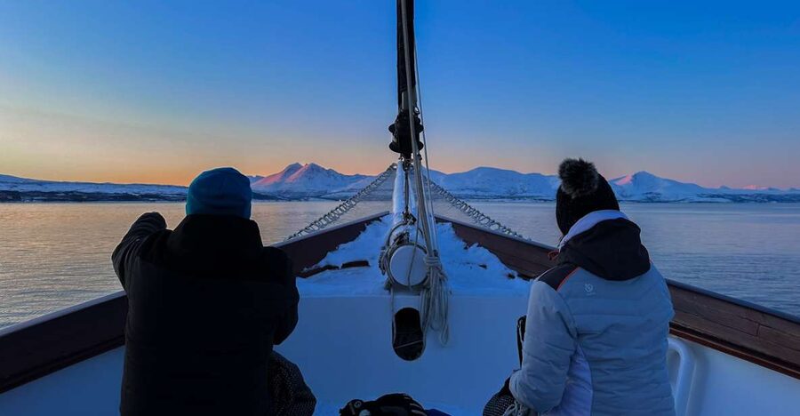 Tromsø: Luxury Polar Fjord Cruise w/ Hot Tub & Polar Plunge - Balsfjorden Route Flexibility, Weather and Wildlife First