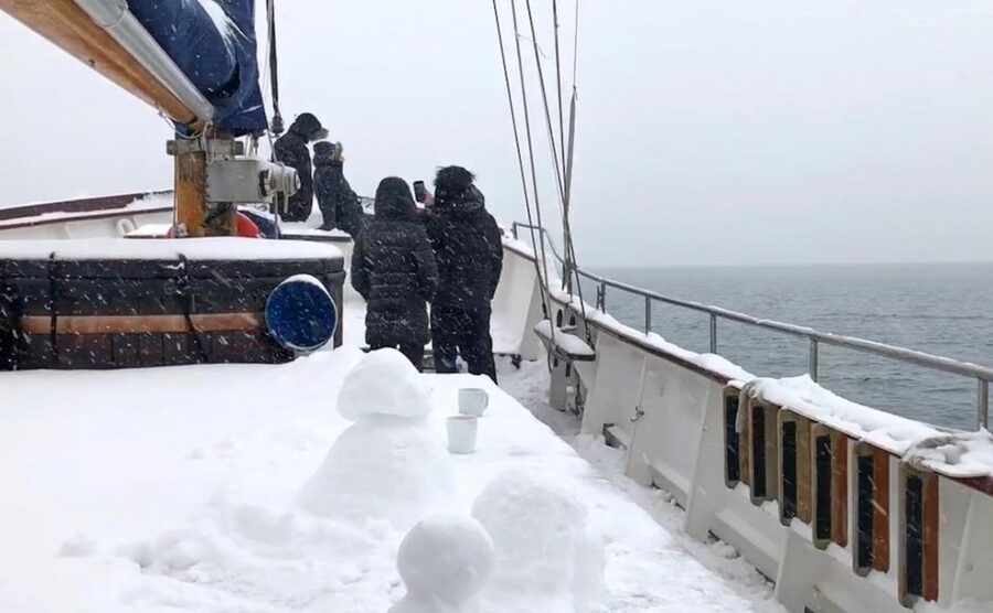 Tromsø: Luxury Polar Fjord Cruise w/ Hot Tub & Polar Plunge - The Heated Saloon, Viewing Decks, and Coffee Bar Comfort
