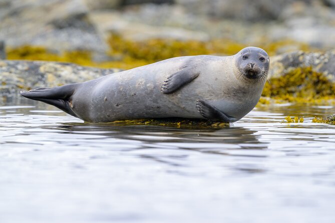 Tromsø Luxury Summer Fjord Cruise with Lunch - World Sea Explorers on Sjøgata: check-in, safety brief, and your on-deck comfort