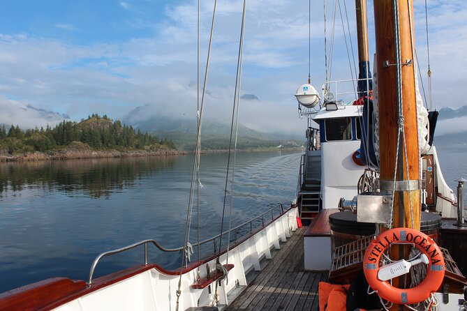 Tromsø Luxury Summer Fjord Cruise with Lunch - A max of 12 passengers: why this feels calm and personal