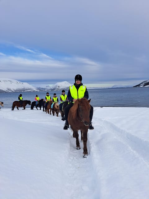 Tromsø: Lyngen Horse Winter Riding Experience - Around 60 minutes of horseback riding, plus a beach option