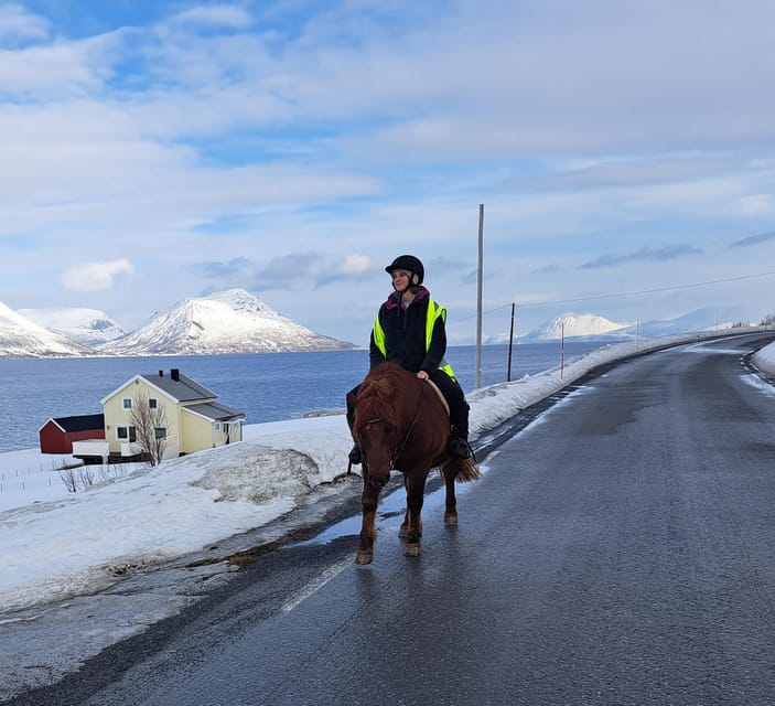 Tromsø: Lyngen Horse Winter Riding Experience - Price and value: is $262 per person worth it?
