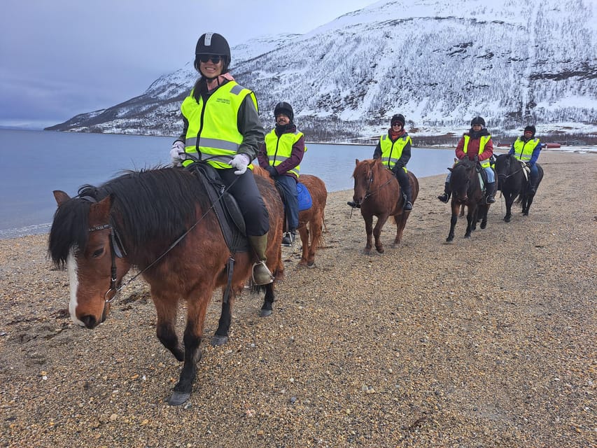 Tromsø: Lyngen Horse Winter Riding Experience - Who should book this winter ride, and who should skip it