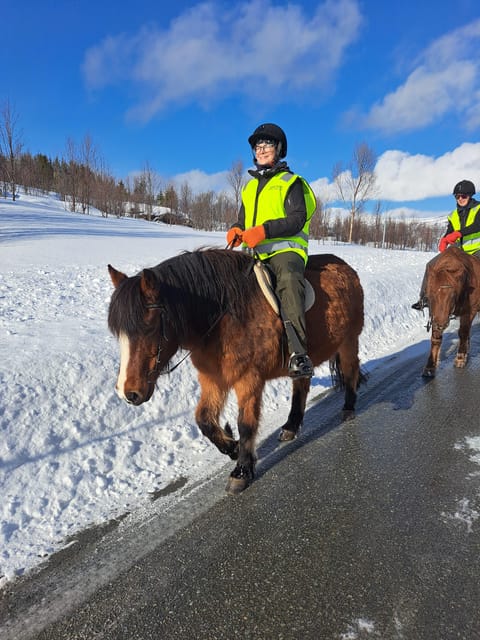 Tromsø: Lyngen Horse Winter Riding Experience - Practical tips for a smoother, warmer ride