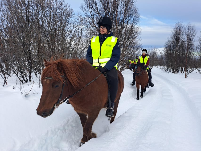 Tromsø: Lyngen Horse Winter Riding Experience - Grooming and saddling: the hands-on part that makes this feel authentic