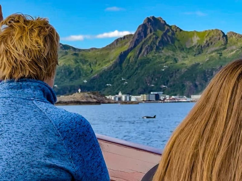 Tromsø: Midnight Sun Evening Cruise with Hot Tub - Weather Reality: What Happens If It Rains