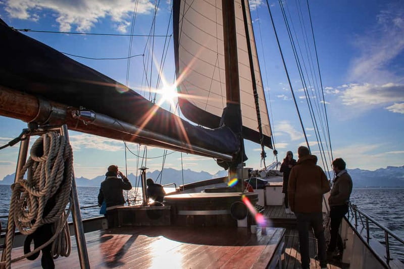 Tromsø: Midnight Sun Evening Cruise with Hot Tub - Price and Value: What $309 Buys in Real Terms