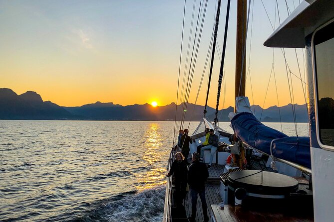 Tromsø Midnight Sun Evening Cruise with Hot Tub and Polar Plunge - Key Highlights You Should Know Before You Go