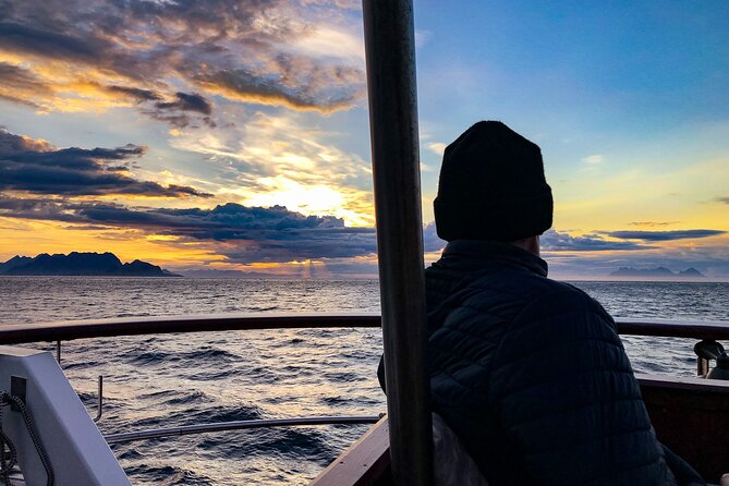 Tromsø Midnight Sun Evening Cruise with Hot Tub and Polar Plunge - Fish Soup, Hot Drinks, Snacks, and the Hot Tub Option