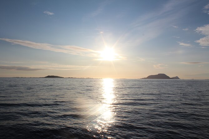 Tromsø Midnight Sun Evening Cruise with Hot Tub and Polar Plunge - Private Hot Tub Versus Polar Plunge: Choose Your Arctic Style