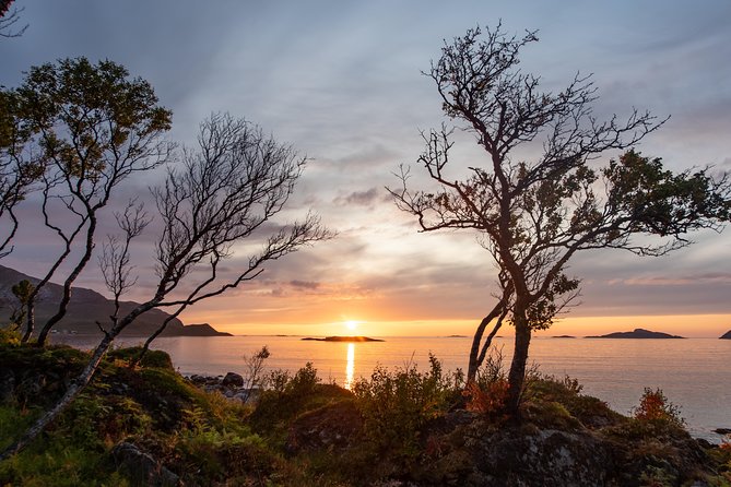 Tromsø: Midnight Sun with Campfire with Wandering Owl - Grotfjord beach camp: bonfire dinner and Arctic light you can actually feel