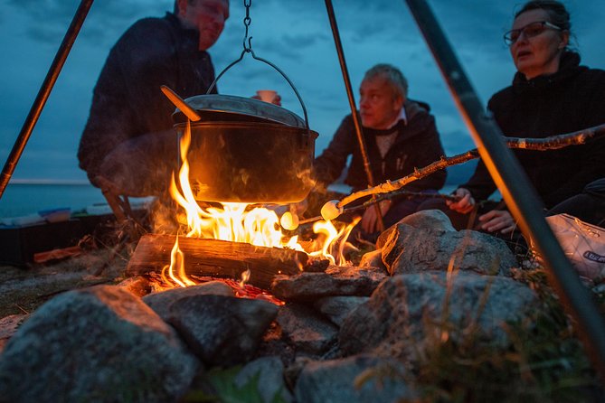 Tromsø: Midnight Sun with Campfire with Wandering Owl - Guides you can talk to, and the kind of moments they look for