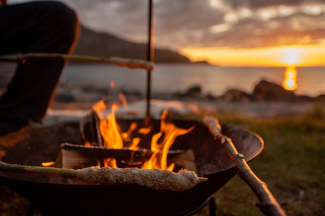 Tromsø: Midnight Sun with Campfire with Wandering Owl - Price and value: is $150.07 worth it?